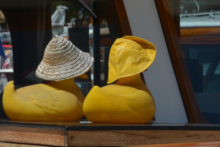 rubber ducks with hats